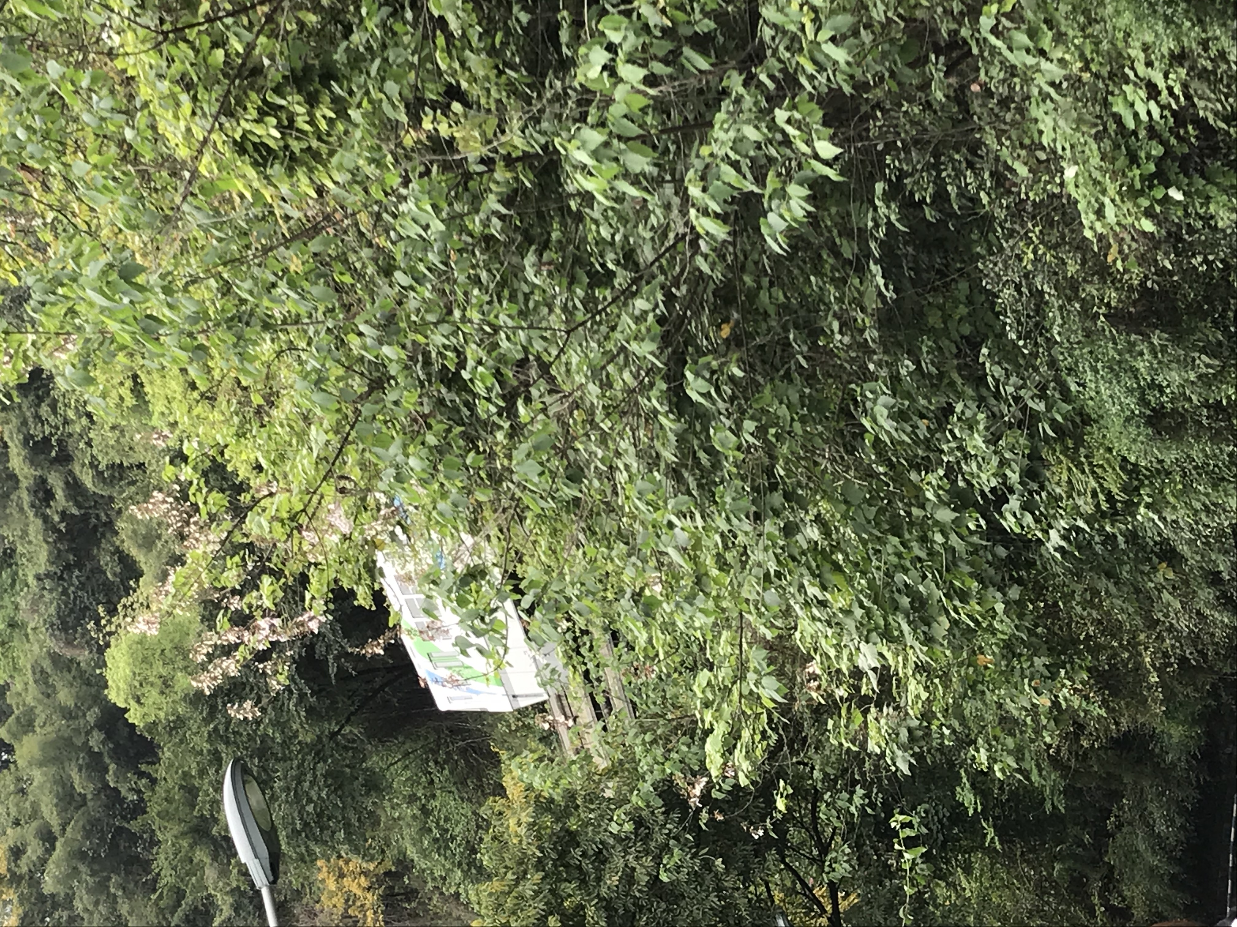 ./2018/03 - Viking China/15 - Chongqing/IMG_6931.JPG